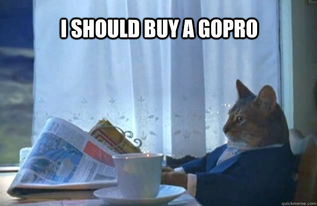 I should buy a GoPro  Sophisticated Cat