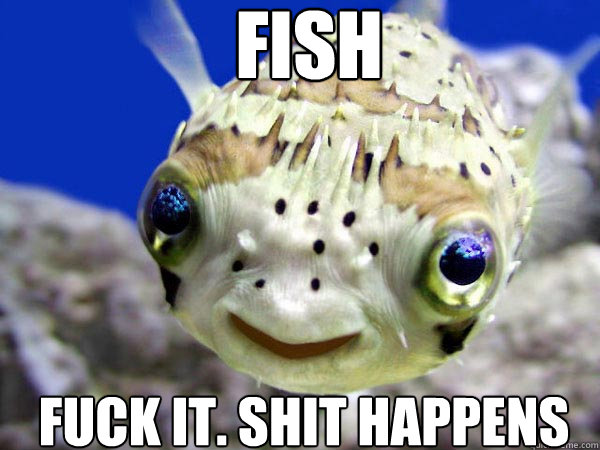 fish Fuck it. Shit happens  