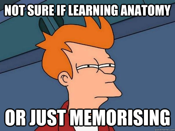 Not sure if learning anatomy or just memorising  Not sure if deaf