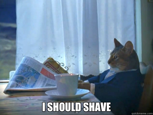  I should shave  The One Percent Cat