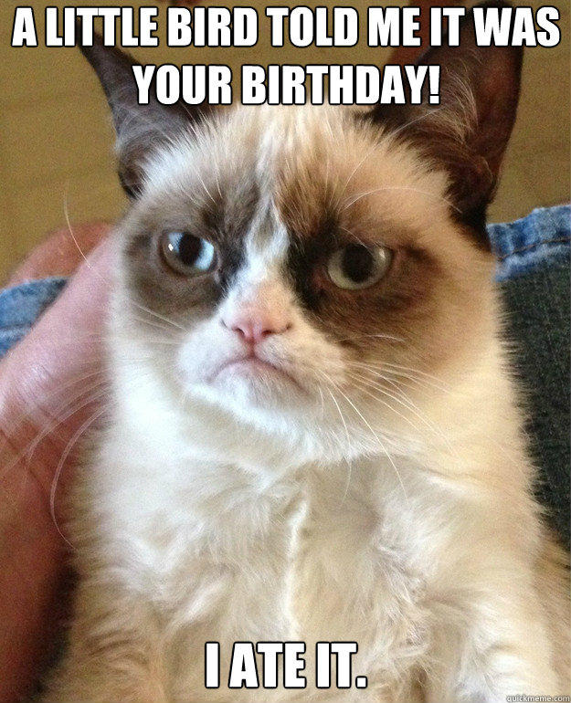 A Little bird told me it was your birthday! I ate it. - A Little bird told me it was your birthday! I ate it.  Grump Cat