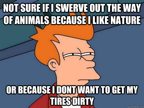 Not sure if i swerve out the way of animals because i like nature Or because i dont want to get my tires dirty  Futurama Fry