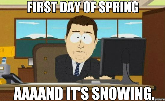 First day of spring aaaand it's snowing.  aaaand its gone