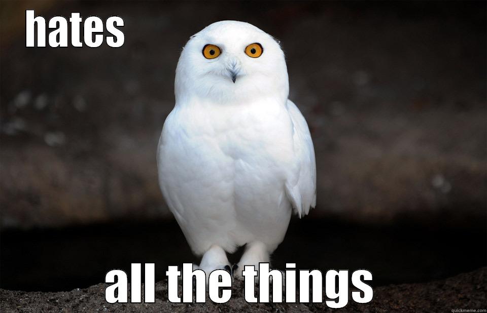 Indignant Owl - HATES                                             ALL THE THINGS Misc