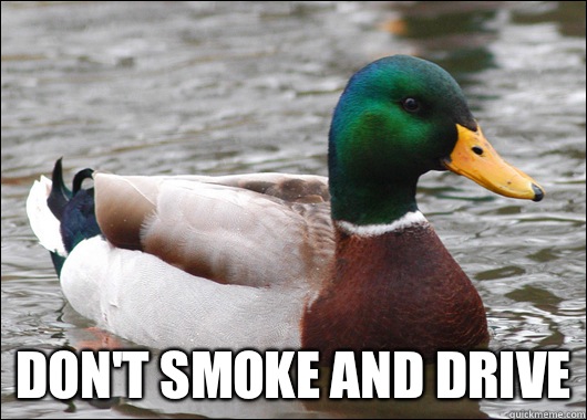 Don't smoke and drive  Actual Advice Mallard