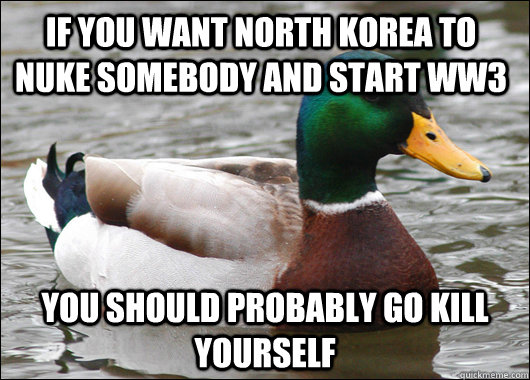 if you want north korea to nuke somebody and start ww3 you should probably go kill yourself  Actual Advice Mallard