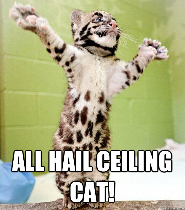 All hail Ceiling Cat!  