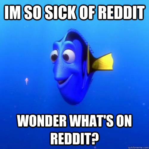 Im so sick of reddit wonder what's on reddit?  dory