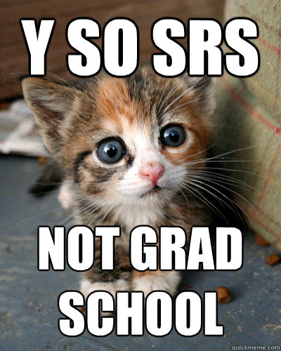 y so srs not grad school  Thesis Kitten