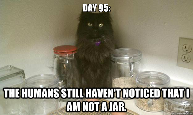 Day 95: The humans still haven't noticed that I am not a jar. - Day 95: The humans still haven't noticed that I am not a jar.  Misc