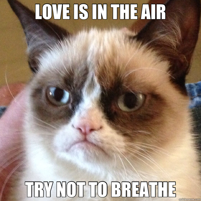 LOVE IS IN THE AIR TRY NOT TO BREATHE  mean cat