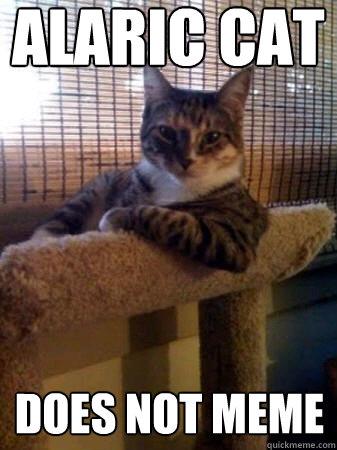 alaric cat does not meme  The Most Interesting Cat in the World