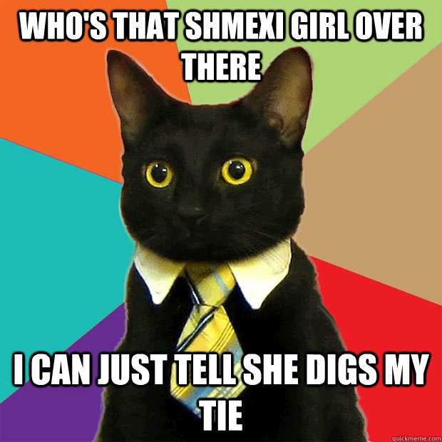 Who's that shmexi girl over there i can just tell she digs my tie  Business Cat