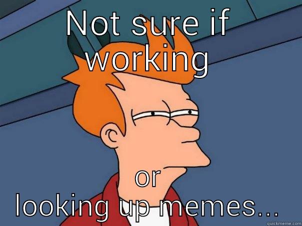NOT SURE IF WORKING OR LOOKING UP MEMES... Futurama Fry
