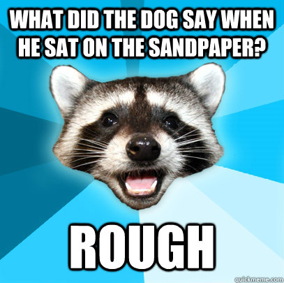 what did the dog say when he sat on the sandpaper? rough  Lame Pun Coon