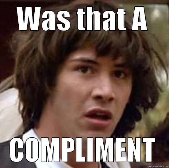 WAS THAT A COMPLIMENT conspiracy keanu