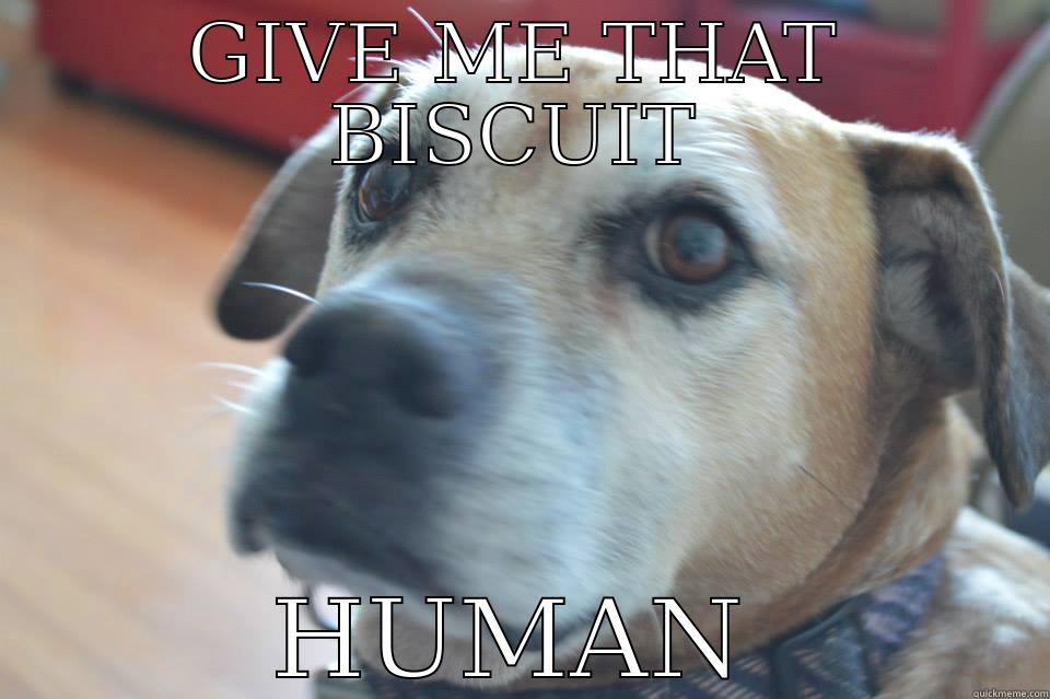 GIVE ME THAT BISCUIT HUMAN Misc