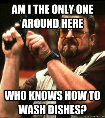 AM i the only one around here who knows how to wash dishes?  Walter Sobchak Approves this Message