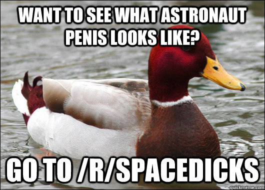 Want to see what Astronaut penis looks like? go to /r/spacedicks  Malicious Advice Mallard