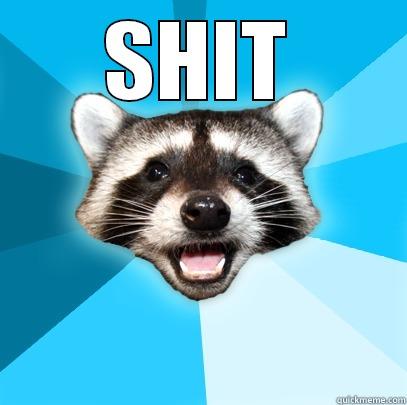 SHIT  Lame Pun Coon