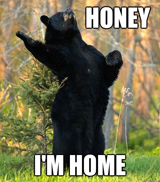 Honey I'm Home - Honey I'm Home  Fabulous bear is fabulous!
