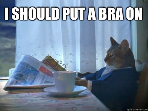 I should put a bra on - I should put a bra on  1% Cat
