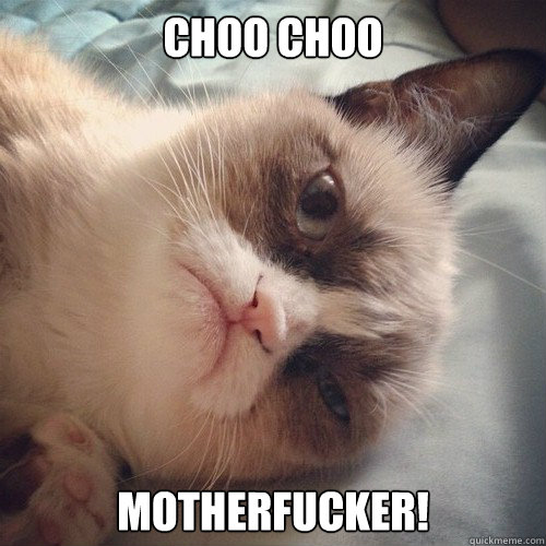 choo choo motherfucker! - choo choo motherfucker!  Grumpy Cat! Wake Up!!