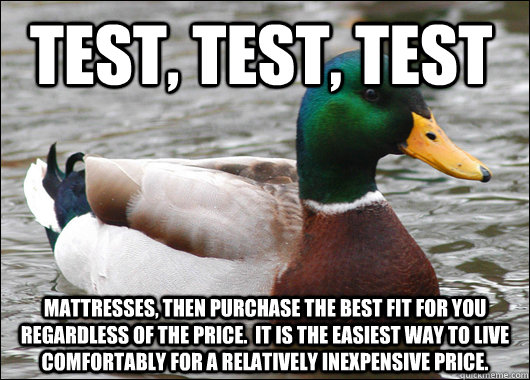 Test, Test, Test Mattresses, then purchase the best fit for you regardless of the price.  It is the easiest way to live comfortably for a relatively inexpensive price.  Actual Advice Mallard