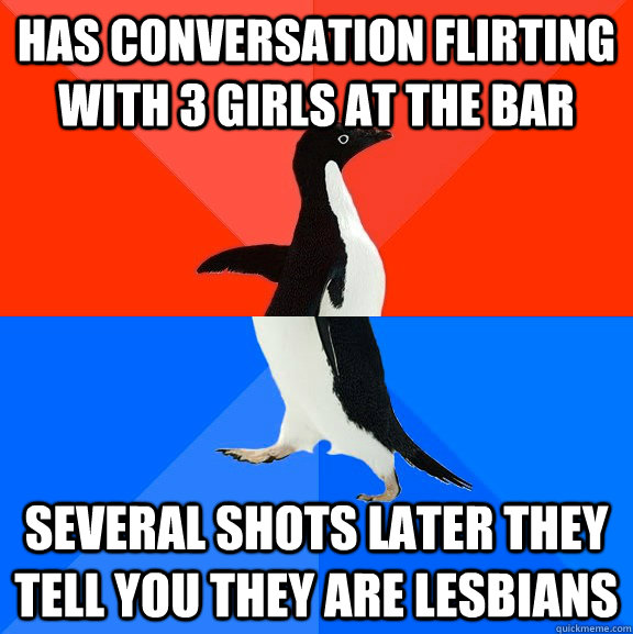 has conversation flirting with 3 girls at the bar several shots later they tell you they are lesbians  Socially Awesome Awkward Penguin