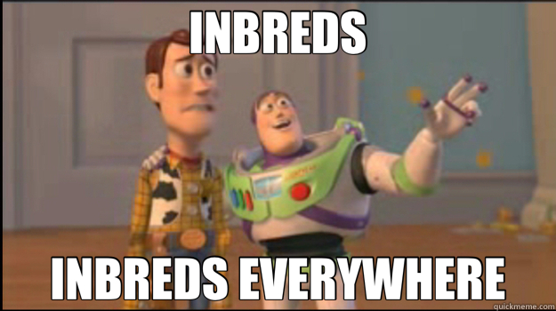 INBREDS INBREDS EVERYWHERE  Buzz and Woody