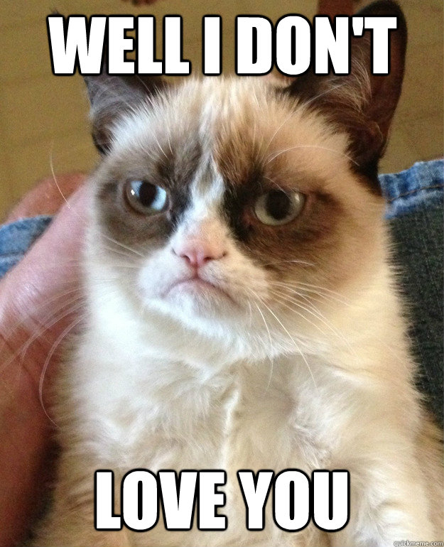 well i don't love you  Grumpy Cat