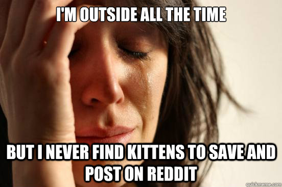 I'm outside all the time but I never find kittens to save and post on reddit  First World Problems