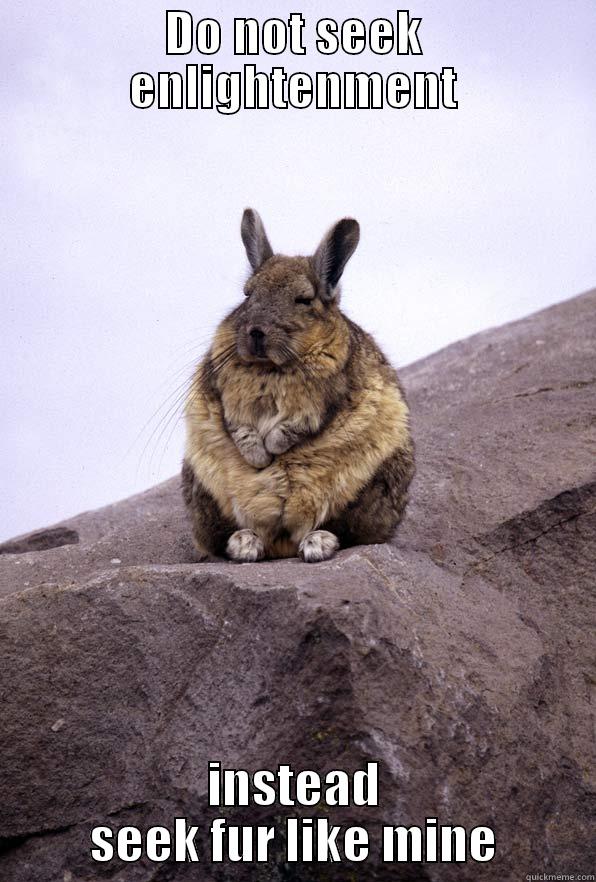 DO NOT SEEK ENLIGHTENMENT INSTEAD SEEK FUR LIKE MINE Wise Wondering Viscacha