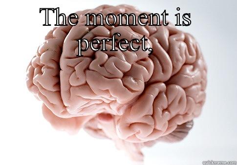 THE MOMENT IS PERFECT,  Scumbag Brain