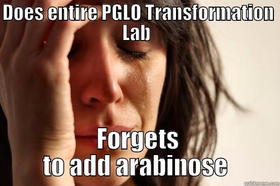DOES ENTIRE PGLO TRANSFORMATION LAB  FORGETS TO ADD ARABINOSE  First World Problems