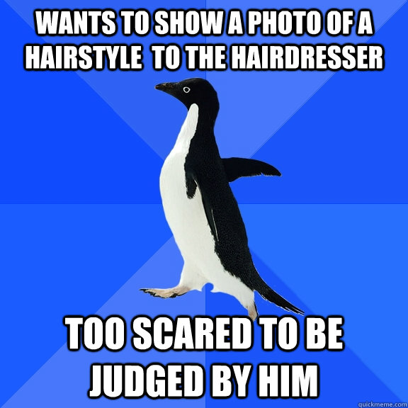 wants to show a photo of a hairstyle  to the hairdresser too scared to be judged by him  Socially Awkward Penguin