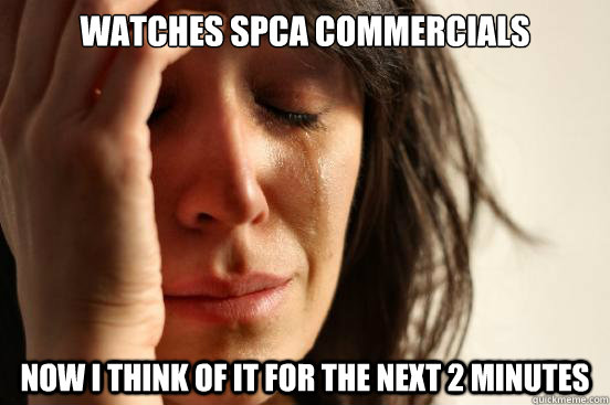 watches SPCA commercials  now I think of it for the next 2 minutes  First World Problems