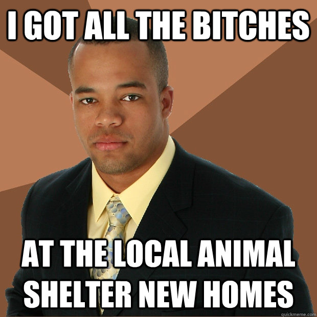 i got all the bitches at the local animal shelter new homes  Successful Black Man