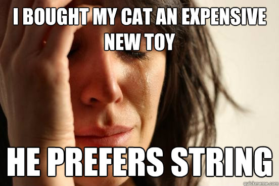 i bought my cat an expensive new toy he prefers string  FirstWorldProblems