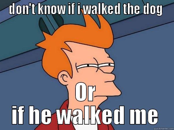 DON'T KNOW IF I WALKED THE DOG OR IF HE WALKED ME Futurama Fry