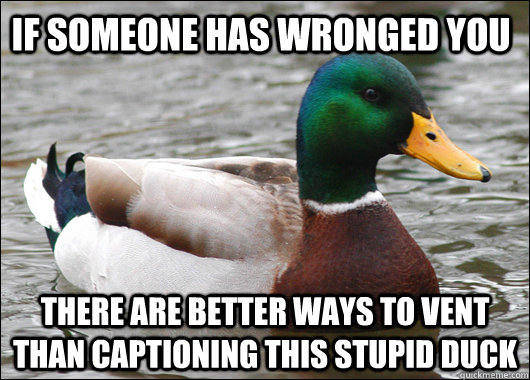 If someone has wronged you There are better ways to vent than captioning this stupid duck  Actual Advice Mallard