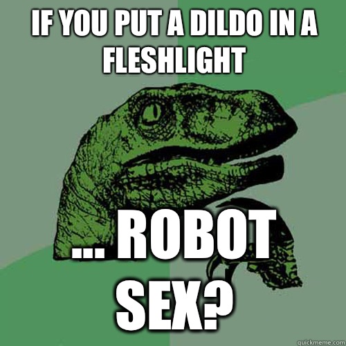 If you put a dildo in a fleshlight ... Robot sex?  Philosoraptor