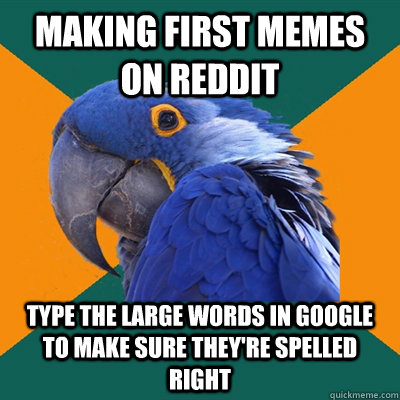 Making first memes on reddit type the large words in google to make sure they're spelled right  Paranoid Parrot