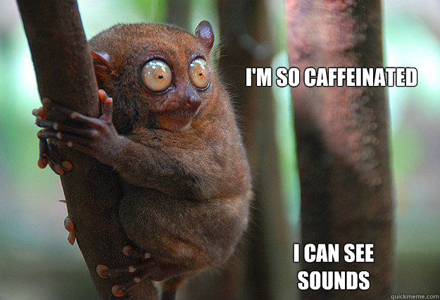 i'm so caffeinated 
 i can see sounds - i'm so caffeinated 
 i can see sounds  CAFFEINE!