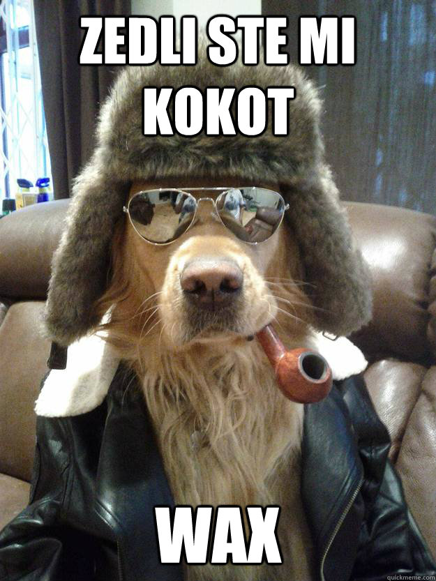 zedli ste mi kokot wAx  Overly Suave Dog