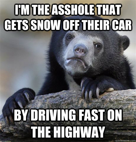 I'm the asshole that gets snow off their car by driving fast on the highway  Confession Bear