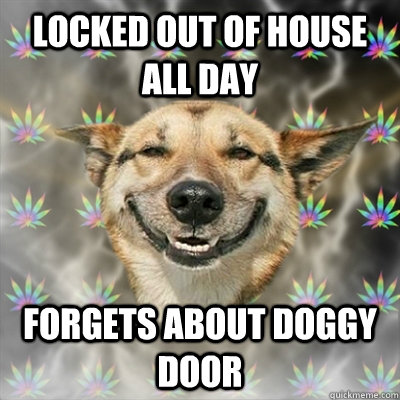 Locked out of house all day Forgets about doggy door  - Locked out of house all day Forgets about doggy door   Stoner Dog