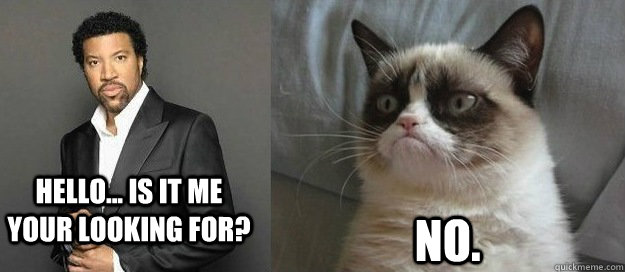 Hello... Is it me your looking for? No. - Hello... Is it me your looking for? No.  Grumpy cats view on Lionel Richie.