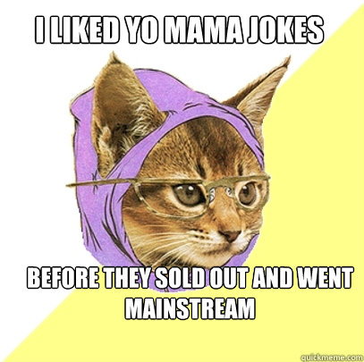I liked yo mama jokes before they sold out and went mainstream  Hipster Kitty
