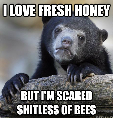 I LOVE FRESH HONEY but I'm scared shitless of bees - I LOVE FRESH HONEY but I'm scared shitless of bees  Confession Bear